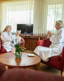 3-daags Wellness Arrangement